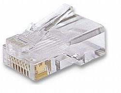 Cat6 Modular Plugs
